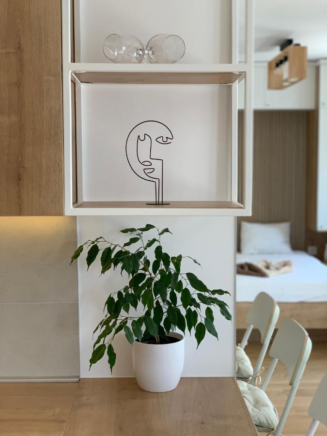 Selena Apartment بلغراد المظهر الخارجي الصورة